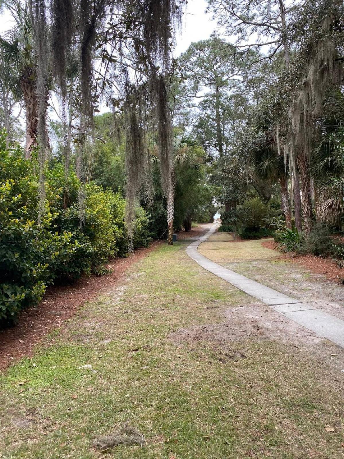 6 Wood Ibis - Host2Coast Villa Hilton Head Island Exterior foto